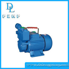 Izdb Series Domestic Use Self-Priming Water Pump